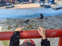 -北戴河圣蓝海洋公园