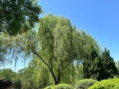 -北坞公园