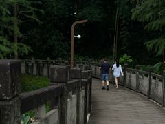 -重庆彩云湖湿地公园