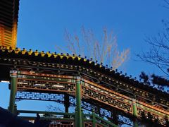 -迎泽公园