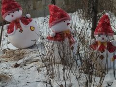 -长白山凯悦酒店·市集咖啡厅