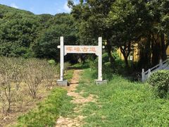 -龙寺生态园