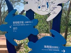 -广东惠东海龟国家级自然保护区