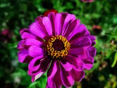 -白河湾山水缘民宿