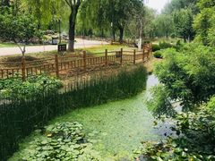 -燕郊植物园