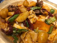 金牌大盘鸡-撒拉花儿·新疆菜·清真(太阳宫店)