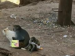-昆明动物园