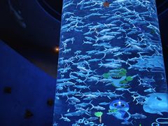 -香港海洋公园