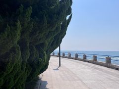 -燕儿岛山公园