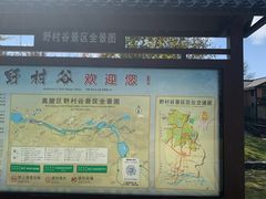 -黄陂区野村谷景区