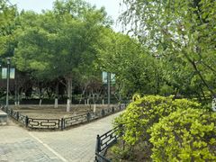 -大兴滨河森林公园