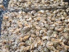 -徐记海鲜(梅溪新天地店)