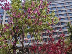 -山东省千佛山医院