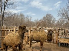 -水上乐园·欢乐世界