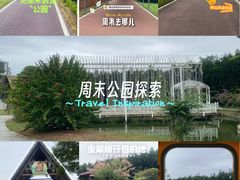 -迪茵湖田家舍生态农场