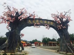 -天适樱花悠乐园