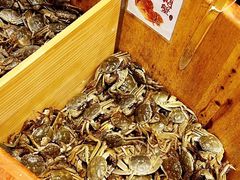 -初色海鲜自助(万丰路店)
