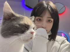 -极木²邸 人与宠物·互动社区