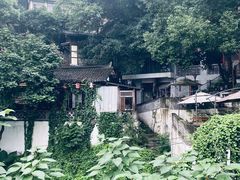 -南山植物园
