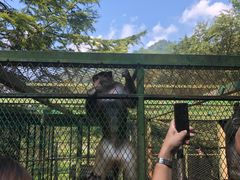 -藏龙百瀑风景区