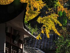 -成都杜甫草堂博物馆