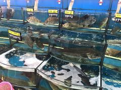 -渔中舟海鲜大排档(普陀沈家门店)