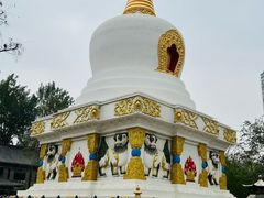 -护国法轮寺