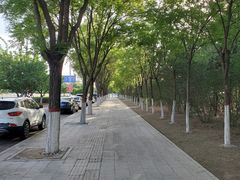 -满都海公园