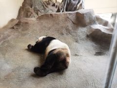 -宁波野生动物园