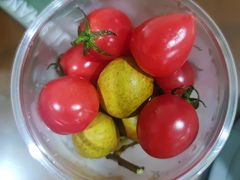 -季季山·云南野生菌火锅(上海首店)