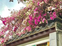 -深圳国际园林花卉博览园