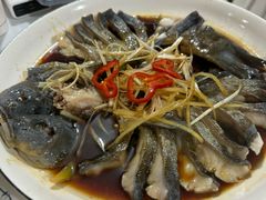 -煲来饱去冷水鱼