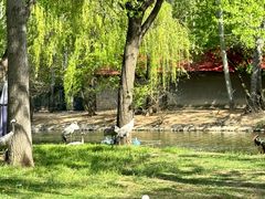 -秦皇岛野生动物园