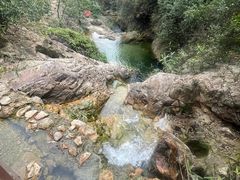 -南海湾森林生态园