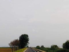 -合肥滨湖国家森林公园