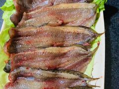 泥鳅片-肥龙火锅(南坪店)