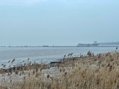 -上海吴淞炮台湾国家湿地公园