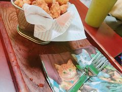 -李小姐の猫咖啡馆(五角场店)