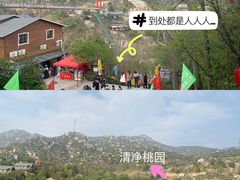 -清境桃源