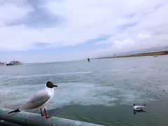 -青海湖国家重点风景名胜区