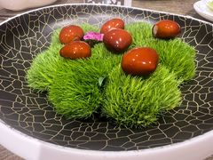 -鹿园 MOOSE(长宁店)