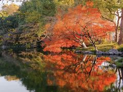 -海纳百川(义乌店)