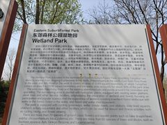 -东郊湿地公园