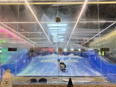 -INLANG饮浪室内冲浪(苏河湾万象天地店)