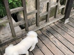 -长广溪湿地公园