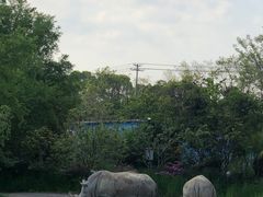 -宁波野生动物园