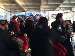 -武汉关码头(轮渡站)