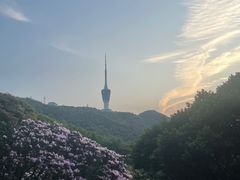 -梧桐山风景名胜区