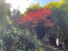 -白沙古井