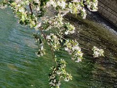 -海棠花溪(元大都城垣遗址公园)